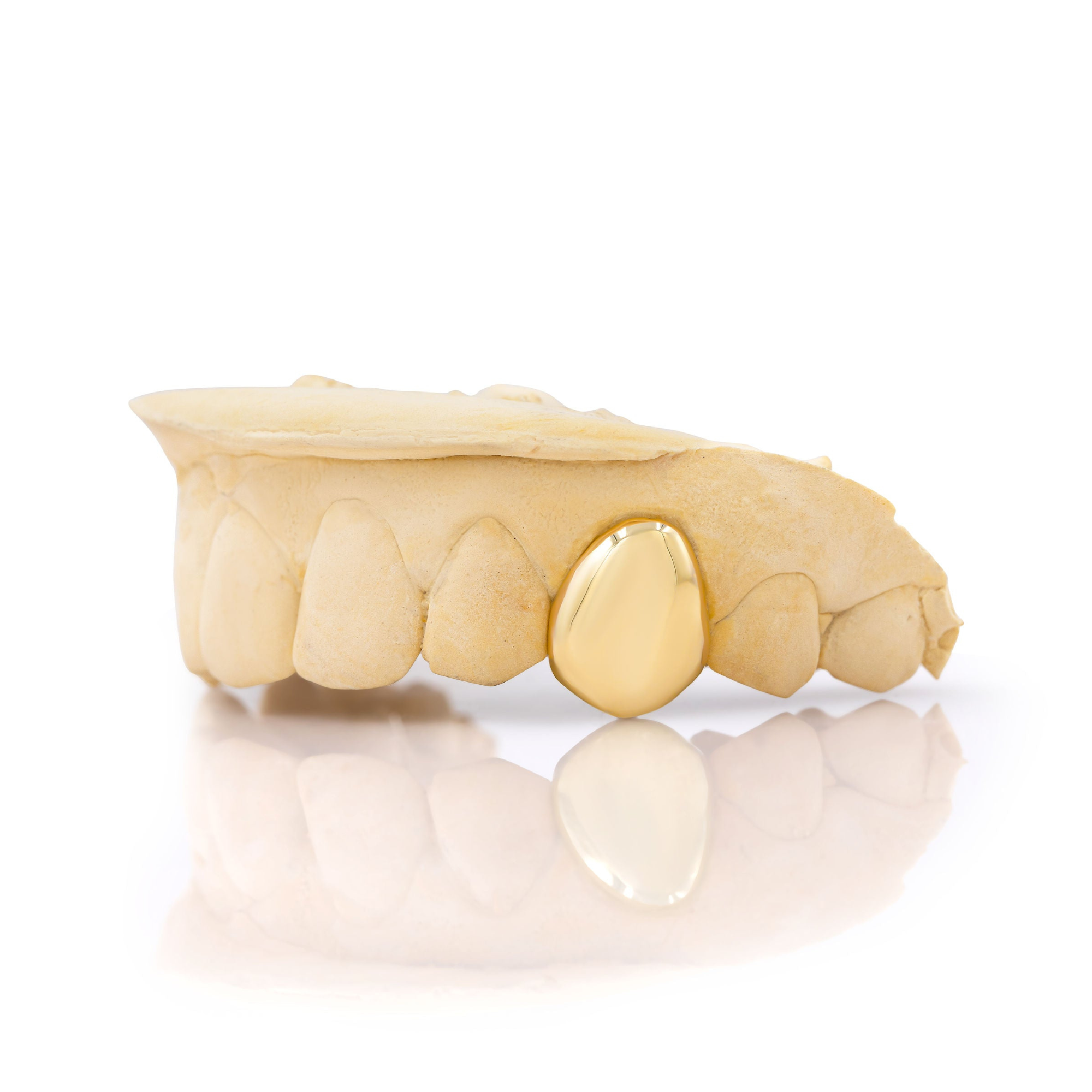 gold_grillz_near_me_teeth_grillz_grillz_for_teeth_14k_gold_grillz_18k_gold_grillz_14kt_gold_grillz_18_karat_gold_grillz_18k_white_gold_grillz_grillz_gold_18k_single_grillz_single_cap_grillz_gold_single_tooth_grillz_gold_grillz_single_tooth_single_tooth_grillz_cap_diamond_single_tooth_grillz_grillz_2_teeth_2_piece_grillz_side_teeth_grillz_grillz_caps_tooth_caps_grillz_1_tooth
