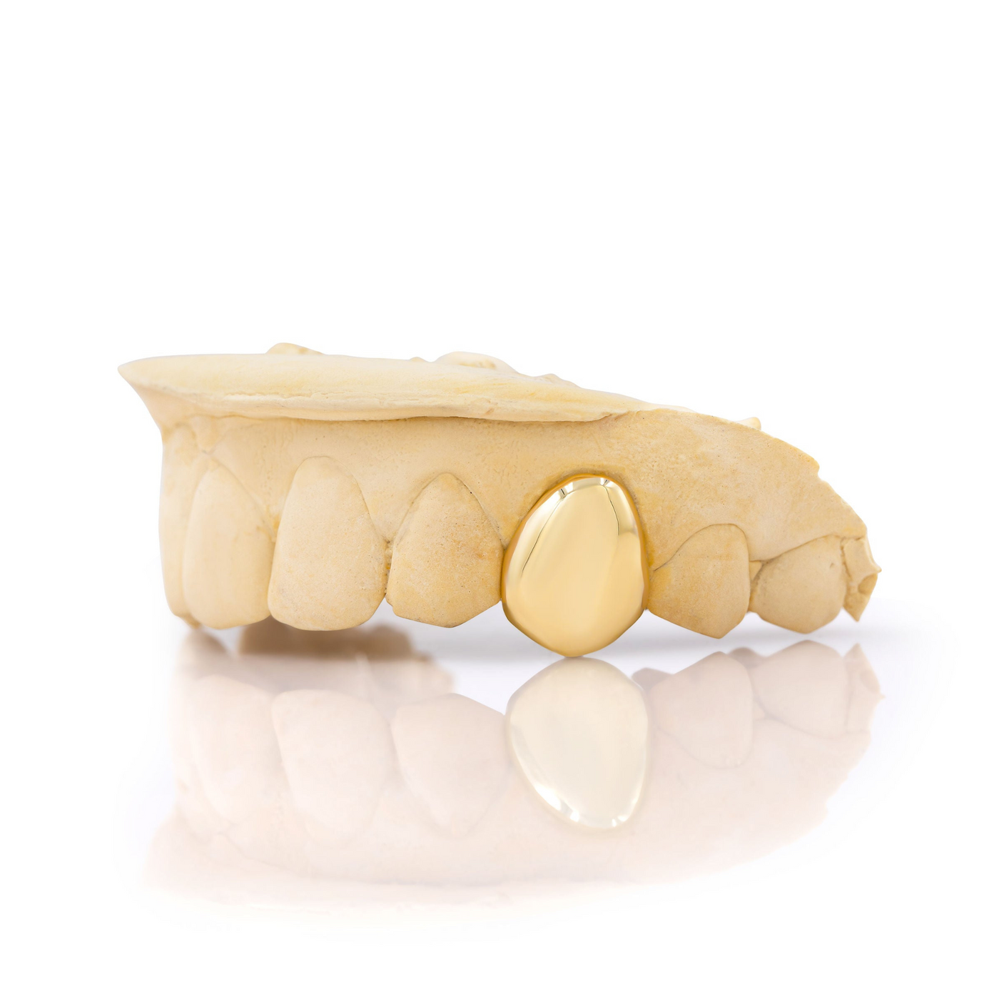 gold_grillz_near_me_teeth_grillz_grillz_for_teeth_14k_gold_grillz_18k_gold_grillz_14kt_gold_grillz_18_karat_gold_grillz_18k_white_gold_grillz_grillz_gold_18k_single_grillz_single_cap_grillz_gold_single_tooth_grillz_gold_grillz_single_tooth_single_tooth_grillz_cap_diamond_single_tooth_grillz_grillz_2_teeth_2_piece_grillz_side_teeth_grillz_grillz_caps_tooth_caps_grillz_1_tooth